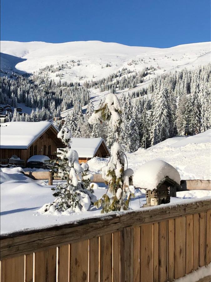 Almhaus Chalet Lachtal Oberwoelz Stadt Dış mekan fotoğraf