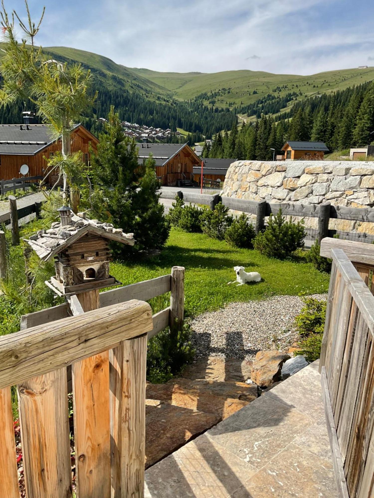 Almhaus Chalet Lachtal Oberwoelz Stadt Dış mekan fotoğraf